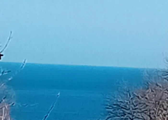 морски диамант