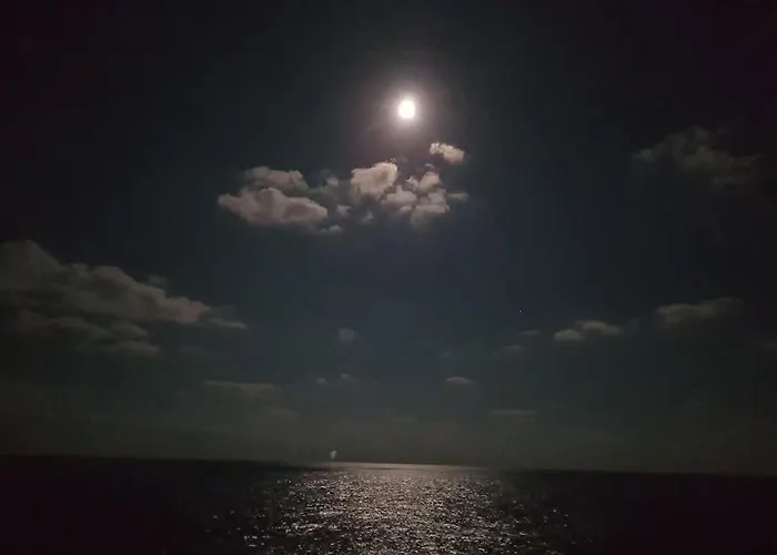 морски диамант *