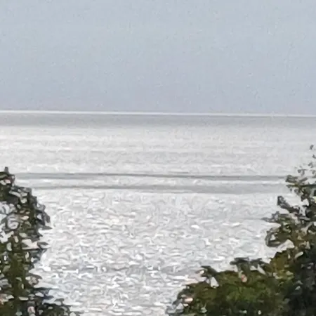 морски диамант